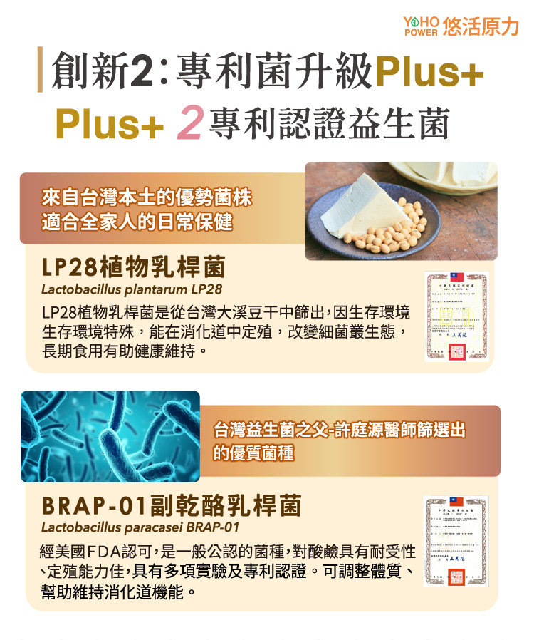 創新2：專利菌升級Plus