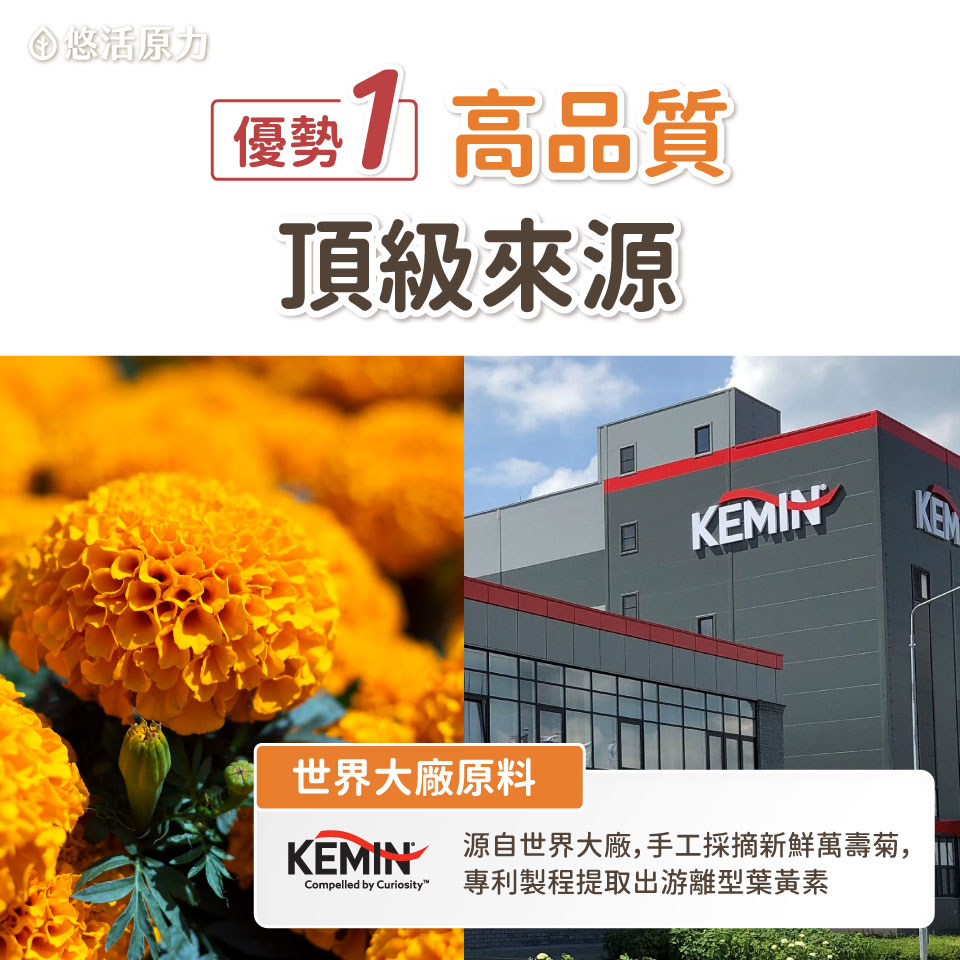 FloraGLO國際認證葉黃素 吸收效果加倍