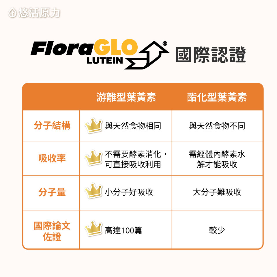 蝦紅素 調整體質