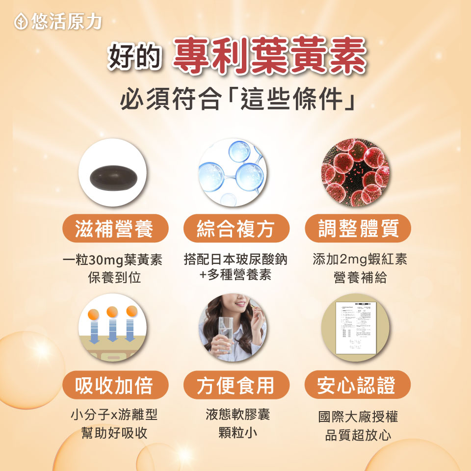 金盞花萃取葉黃素 產品資訊