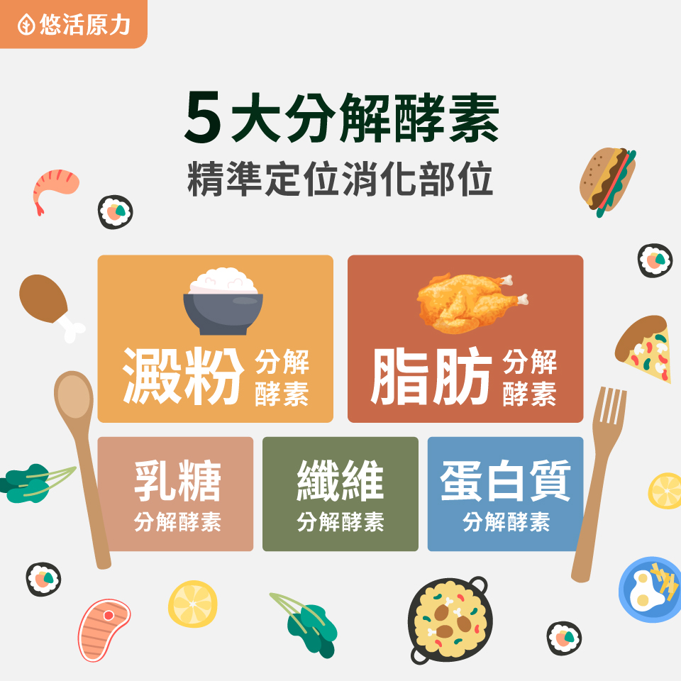 【悠活原力】Pure消化酵素速崩錠(30粒/瓶)_04