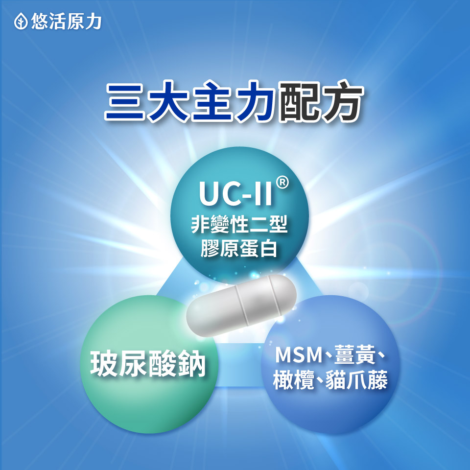 三大主力配方UCII 玻尿酸 MSM