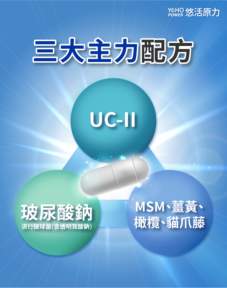 三大主力配方UCII 玻尿酸 MSM