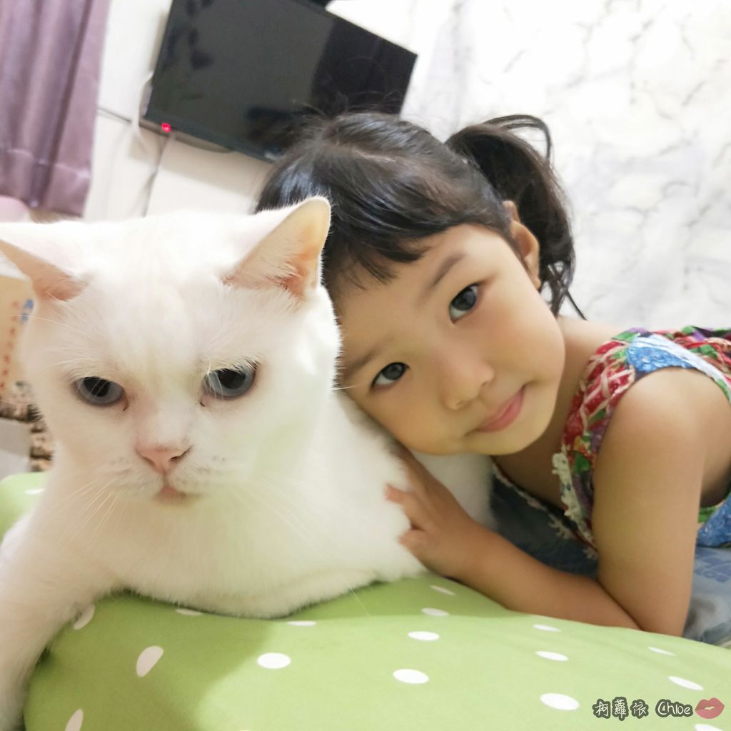 小女孩與貓合照
