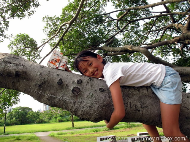 小女孩爬樹
