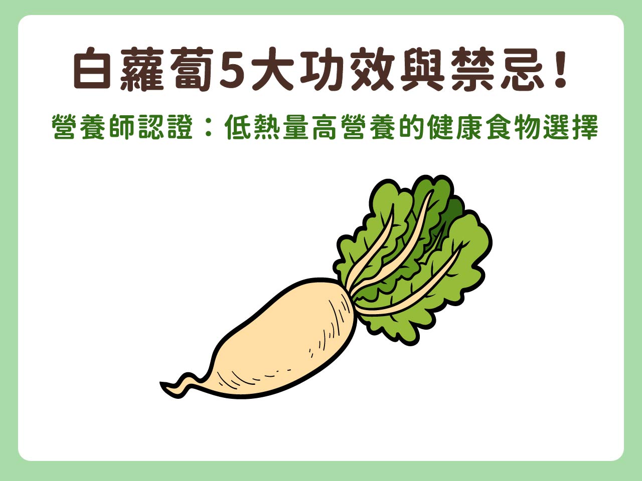 白蘿蔔5大功效與禁忌! 營養師認證：低熱量高營養的健康食物
