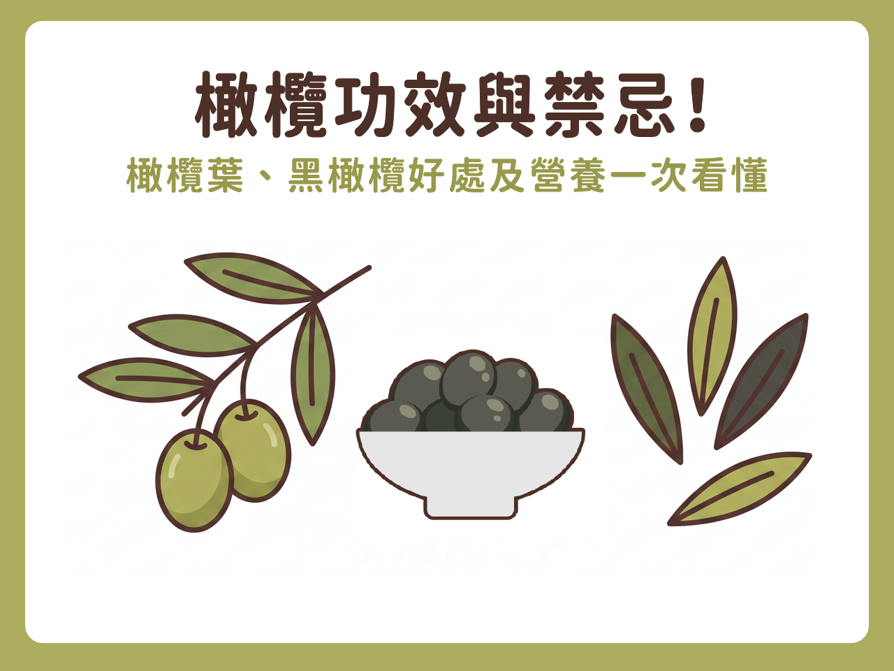 橄欖功效與禁忌!橄欖葉、黑橄欖好處及營養一次看懂