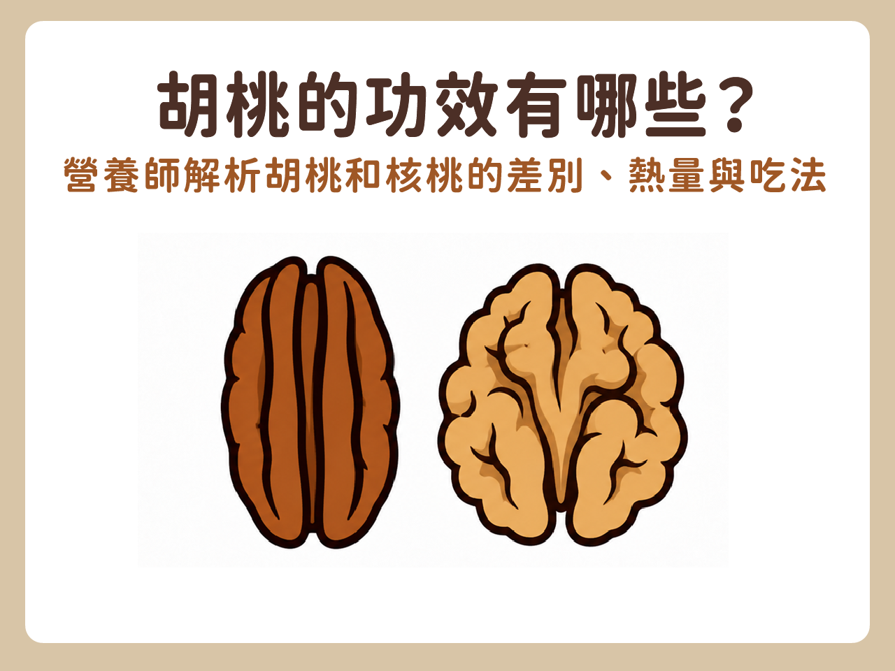 胡桃的功效有哪些?營養師解析胡桃和核桃的差別、熱量與吃法
