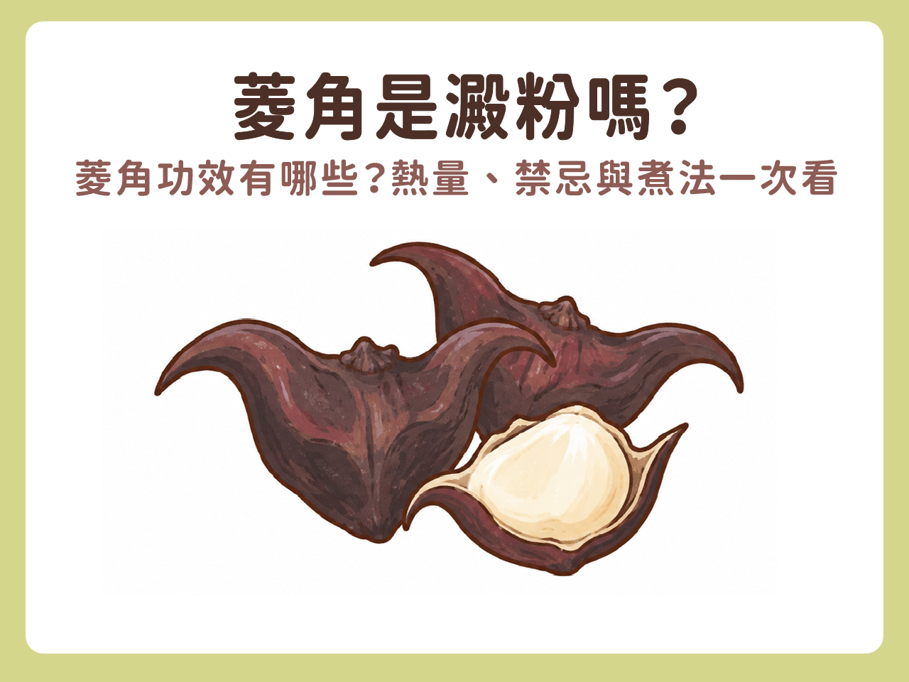 菱角是澱粉嗎?菱角功效有哪些?熱量、禁忌與煮法一次看